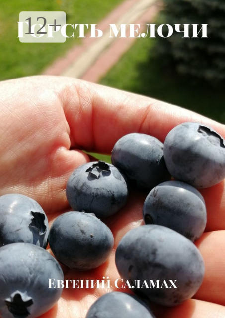 Горсть мелочи, Евгений Саламах