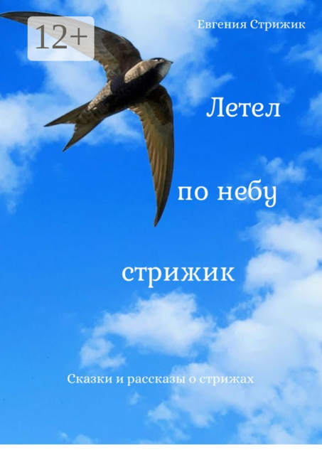Летел по небу стрижик, Евгения Стрижик