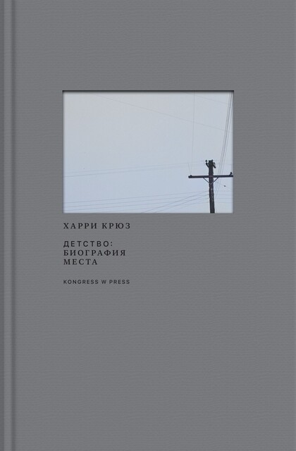 Детство: биография места, Харри Крюз