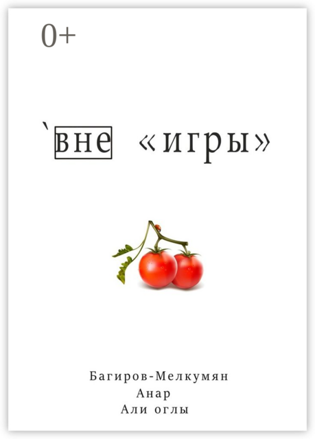 Вне «игры», Анар Багиров-Мелкумян