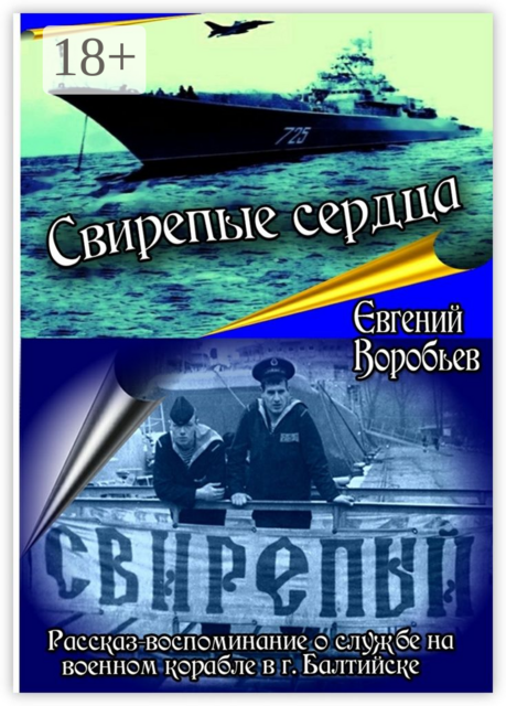 Свирепые сердца. Рассказ-воспоминание о службе на военном корабле в г. Балтийске