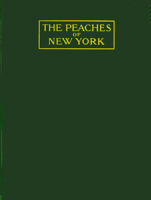 The Peaches of New York