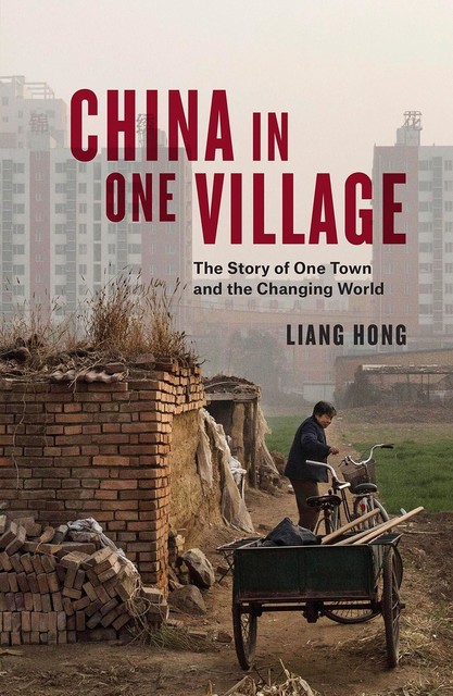 China in One Village: The Story of One Town and the Changing World