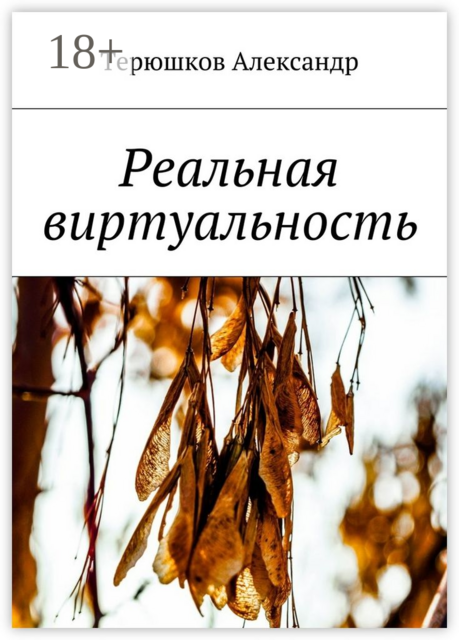 Реальная виртуальность, Александр Терюшков