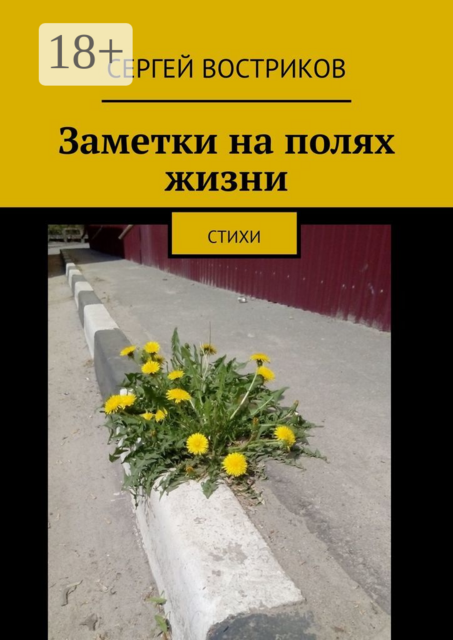 Заметки на полях жизни