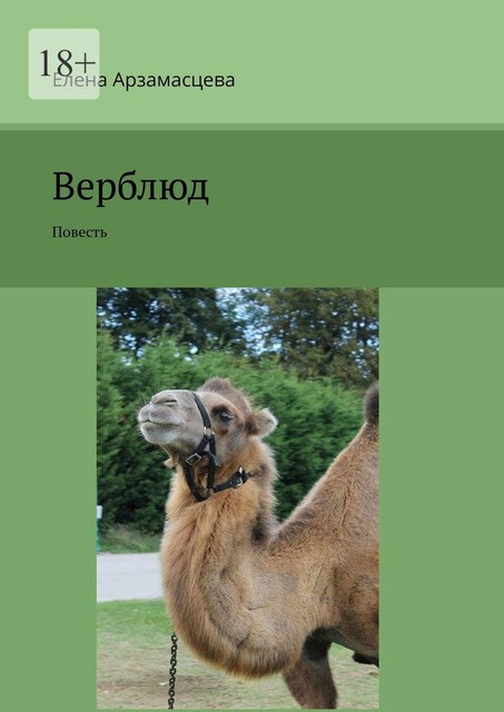 Верблюд