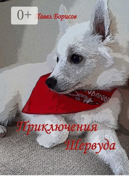 Приключения Шервуда