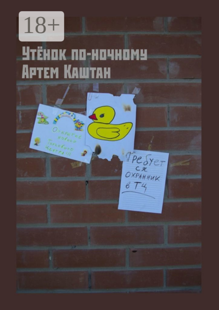 Утёнок по-ночному. Одни ли мы в ночи