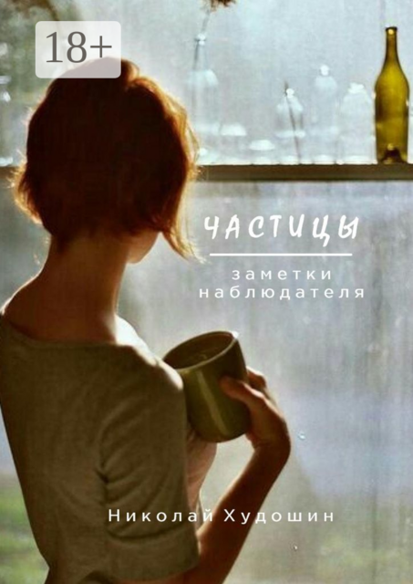 Частицы. Заметки наблюдателя, Николай Худошин