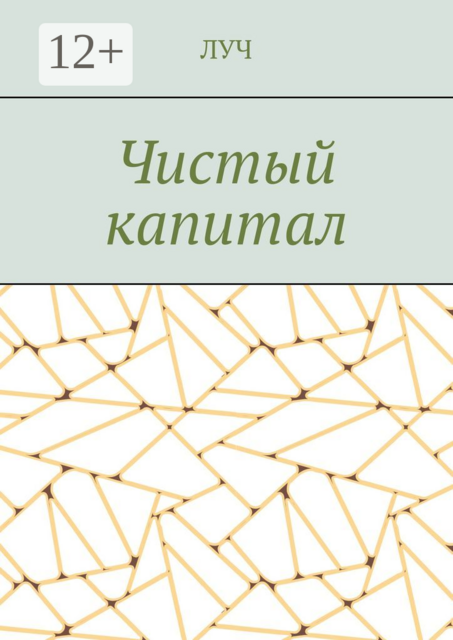 Чистый капитал