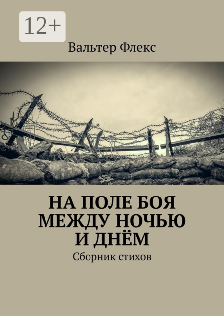 На поле боя между ночью и днём