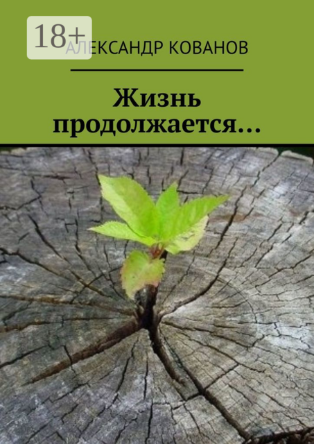 Жизнь продолжается