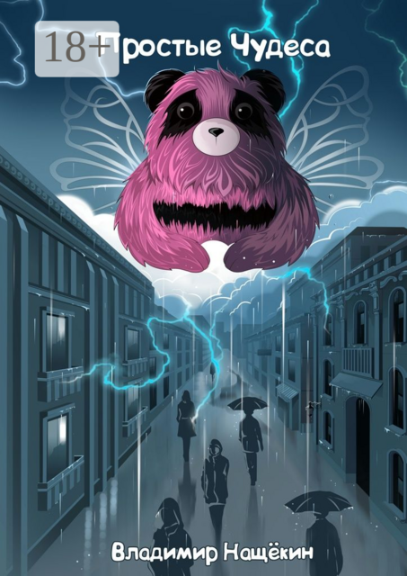 Простые чудеса, Владимир Нащёкин