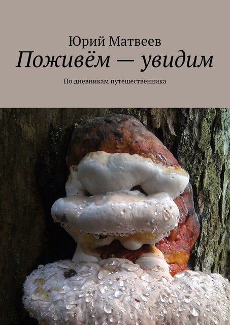 Поживем — увидим. По дневникам путешественника