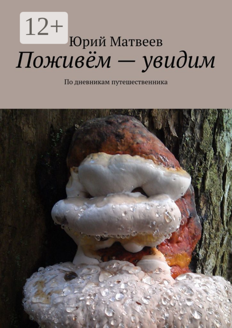 Поживём — увидим. По дневникам путешественника, Юрий Матвеев