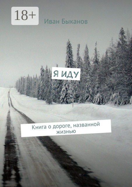 Я иду. Книга о дороге, названной жизнью, Иван Быканов