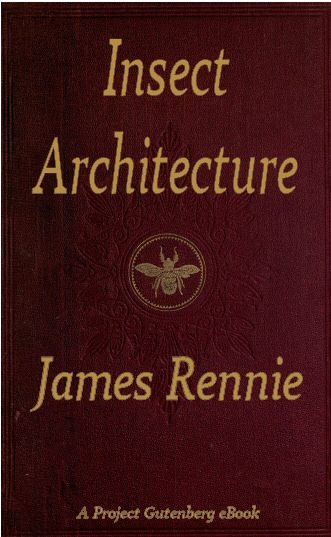 Insect Architecture