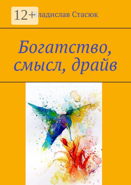 Богатство, смысл, драйв, Владислав Юрьевичь Стасюк