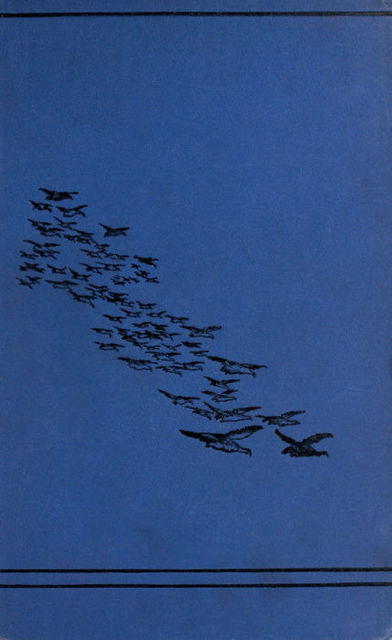 Sport in the Crimea and Caucasus