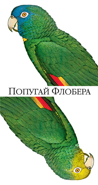 Попугай Флобера