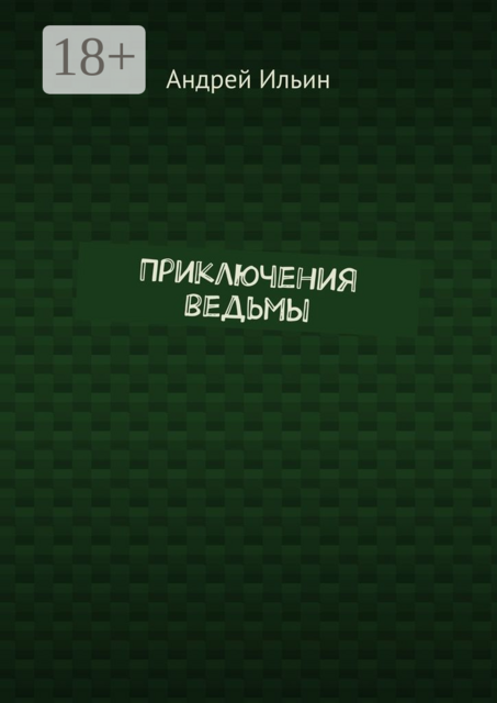 Приключения ведьмы, Андрей Ильин