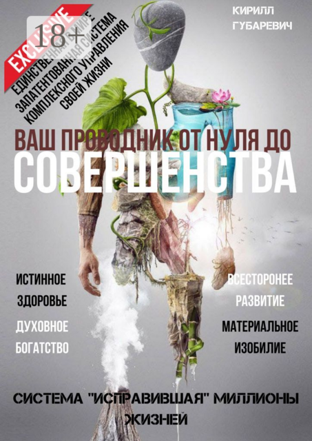 Ваш проводник от нуля до Совершенства, Кирилл Игоревич Губаревич