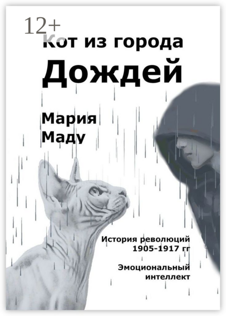 Кот из города дождей