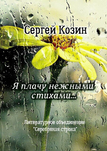 Я плачу нежными стихами…. Литературное объединение «Серебряная строка»