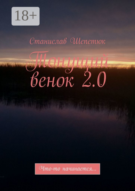 Тонущий венок 2.0. Что-то начинается, Станислав Шепетюк