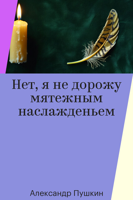 Нет, я не дорожу мятежным наслажденьем