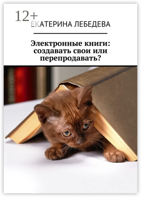 Электронные книги: создавать свои или перепродавать