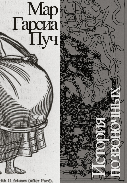 История позвоночных