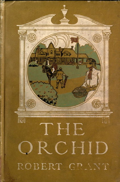 The Orchid