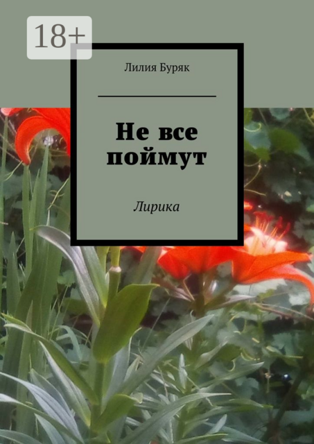 Не все поймут. Лирика