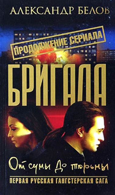 Бригада. Книга 10. От сумы до тюрьмы