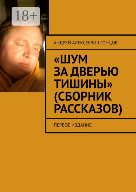 «Шум за дверью тишины» (сборник рассказов). Первое издание