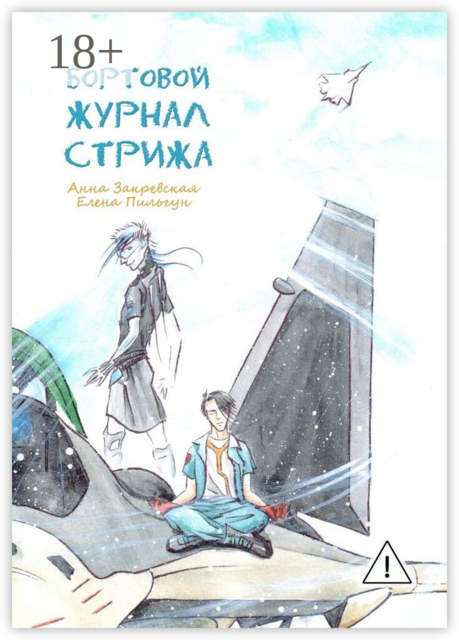 Бортовой журнал Стрижа