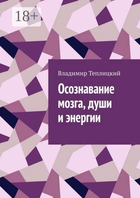 Осознавание мозга, души и энергии, Владимир Теплицкий