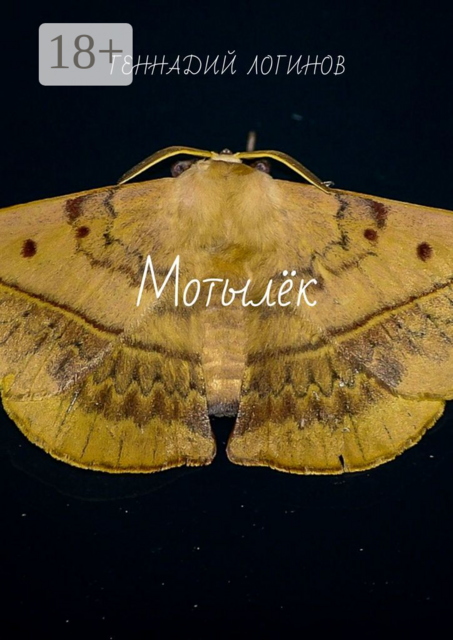 Мотылёк, Геннадий Логинов