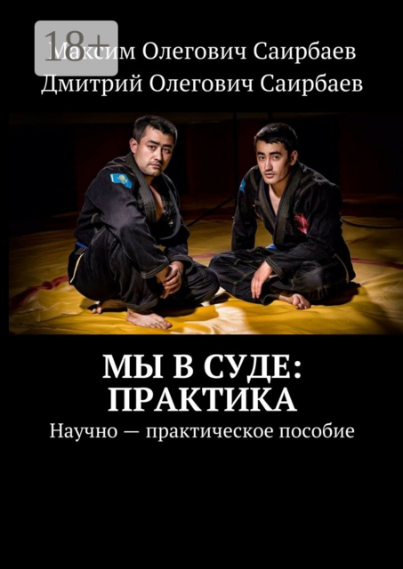Мы в суде: практика. Научно-практическое пособие