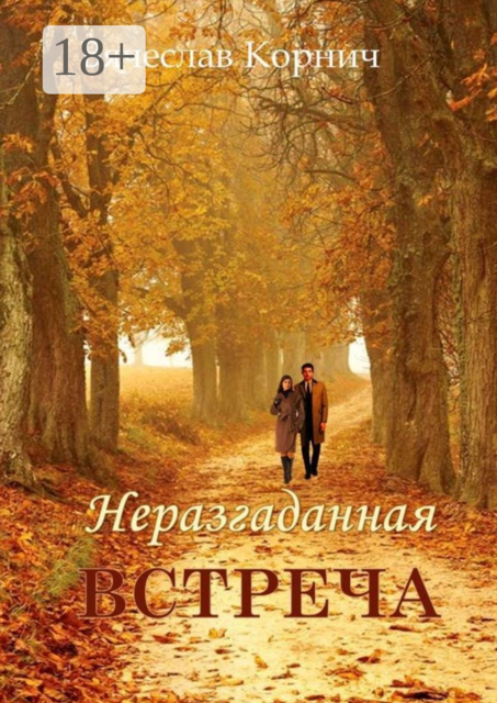 Неразгаданная встреча