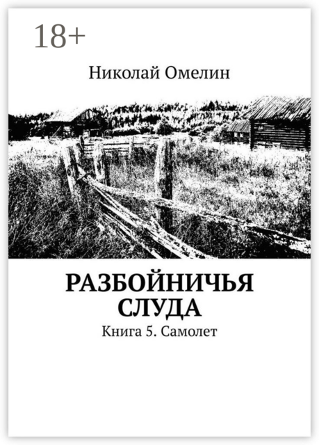 Разбойничья Слуда. Книга 5. Самолет