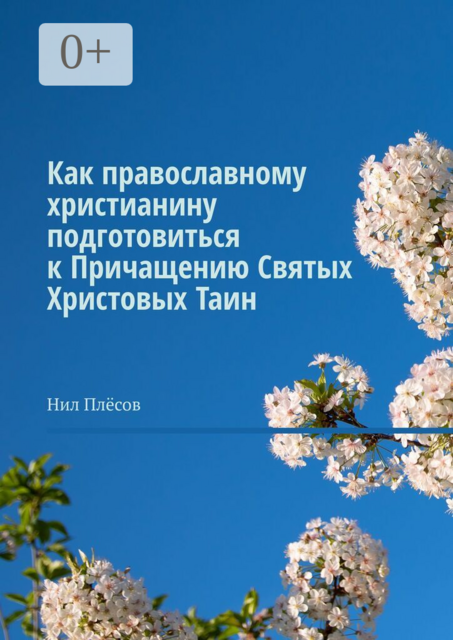Как православному христианину подготовиться к Причащению Святых Христовых Таин