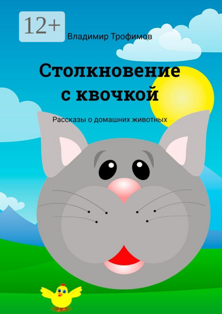 Столкновение с квочкой