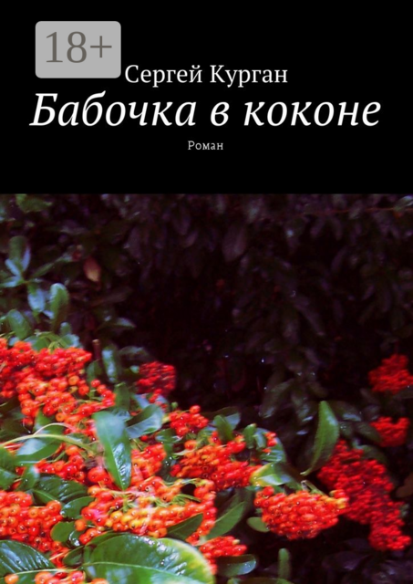 Бабочка в коконе