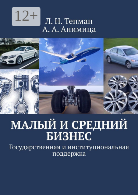 Малый и средний бизнес. Государственная и институциональная поддержка, А.А. Анимица, Л.Н. Тепман