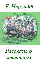 Рассказы о животных (СИ)