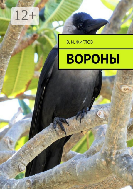 Вороны, В.И. Жиглов