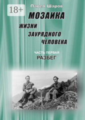 Мозаика жизни заурядного человека