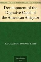 Development of the Digestive Canal of the American Alligator